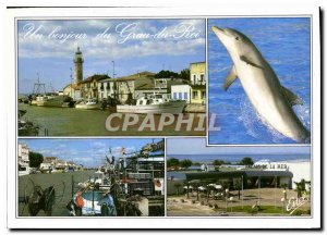 Postcard Modern Camargue Le Grau du Roi Gard