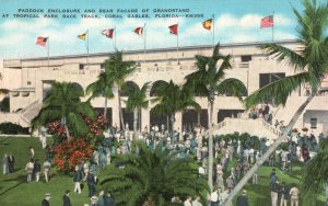 Vintage Postcard 1930s Paddock & Facade Tropical Park Race Track Coral Gables FL 