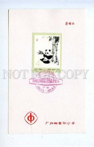 196461 CHINA Panda stamp 1973 year on souvenir sheet