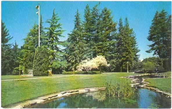 Juilliard Park in Santa Rosa, California, CA, Chrome