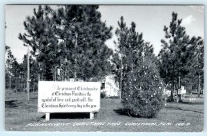 RPPC  CHRISTMAS, Florida FL ~ PERMANENT CHRISTMAS TREE 1958 Postcard