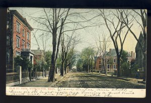 Worcester, Massachusetts/MA Postcard, View Of Elm Street, 1907!