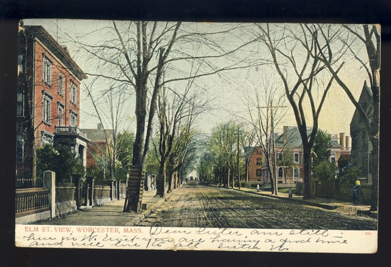 Worcester, Massachusetts/MA Postcard, View Of Elm Street, 1907!