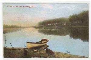 Lake Rice Panorama Galesburg Illinois 1919 postcard