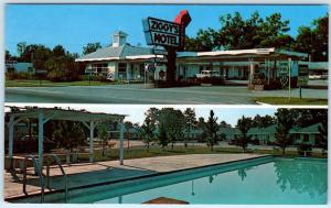 BAMBERG, South Carolina  SC    Roadside  ZIGGY'S MOTEL  ca 1950s Cars   Postcard