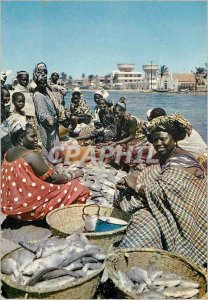 Modern Postcard Senegal fish Goods