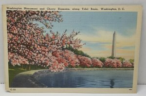 Washington Monument Cherry Blossoms Washington DC Vintage Postcard