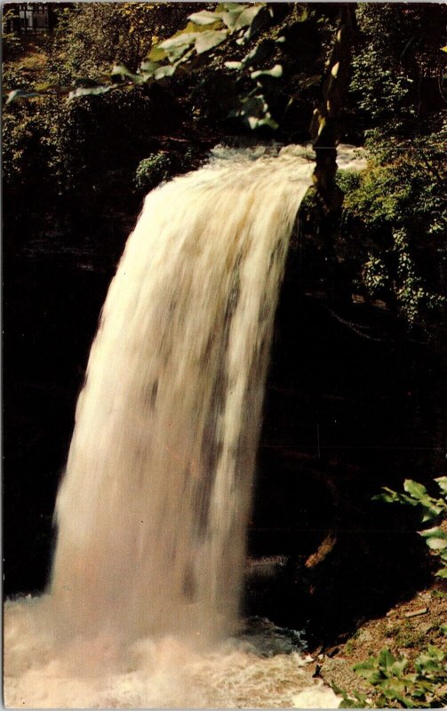 Minnehaha Falls Minneapolis Minnesota Scenic Landscape Chrome Postcard 