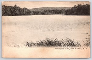 1908 Wawayanda Lake Warwick New York Nature & Plants Attraction Posted Postcard