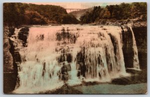 Hand-Colored~New York~Middle Falls Seen @ Letchworth State Park~Vintage Postcard