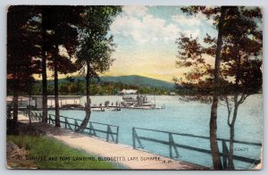Blodgett New Hampshire~Lake Sunapee~Mt~Boat Landing Dock~Fence~1911 Postcard