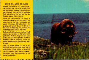 Alaska Arctic Bull Musk Ox