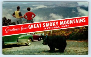 GREAT SMOKY MOUNTAINS, NC/TN ~National Park~ BEAR c1940s Cars  Postcard