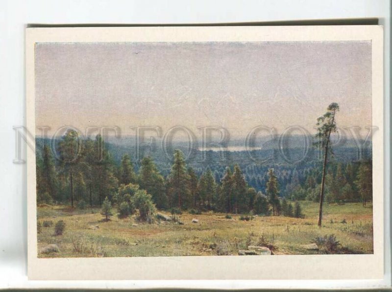 483391 USSR 1959 year Shishkin Forest Dali old postcard
