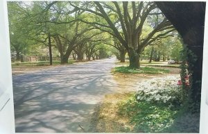 Vintage Postcard Aiken South Carolina USA