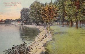 Wisconsin Oshkosh View At North Park 1912