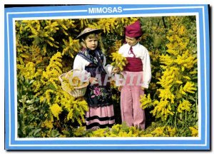 Modern Postcard The French Riviera Mimosas Children Folklore