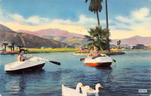 Palm Desert California Shadow Mountain Club Row Boats Antique Postcard K93075