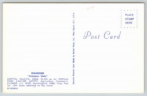 State Maps~State Flower & Map of Tennessee~Vintage Postcard