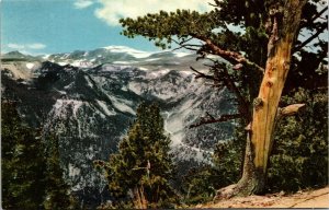 Beartooth Mountains Union Oil 76 Gasoline Montana Postcard Granite Peak