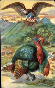 Thanksgiving American Eagle Flies Over Turkey Patriotic c1910 Postcard