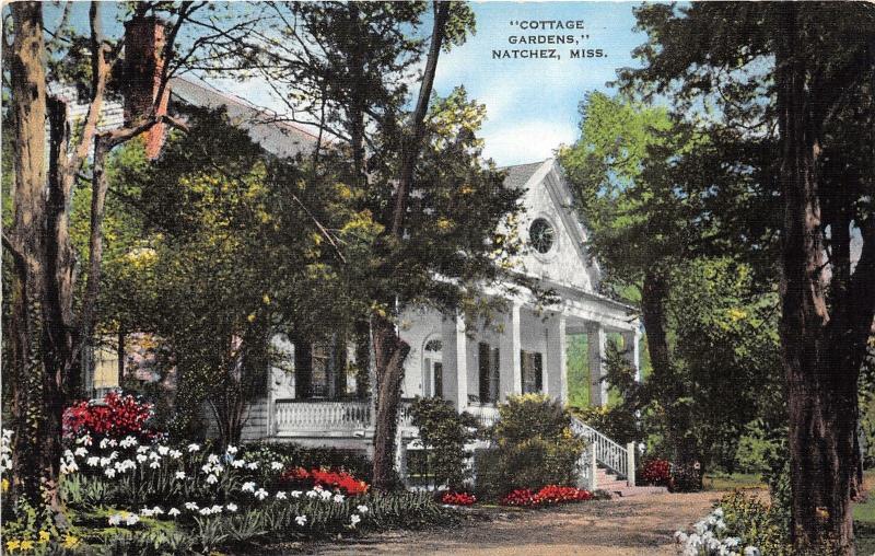Natchez Mississippi~Beautiful Cottage Gardens House~Info Bk~40s Linen Postcard