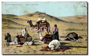 Old Postcard The Prayer in the desert Gebet in der Wuste Camel Camel Morocco