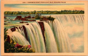 New York Niagara Falls Terrapin Point From Goat Island