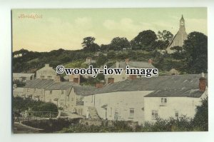 tp9533 - Cornwall - Herodsfoot Village & Church, from the Bridge - Postcard