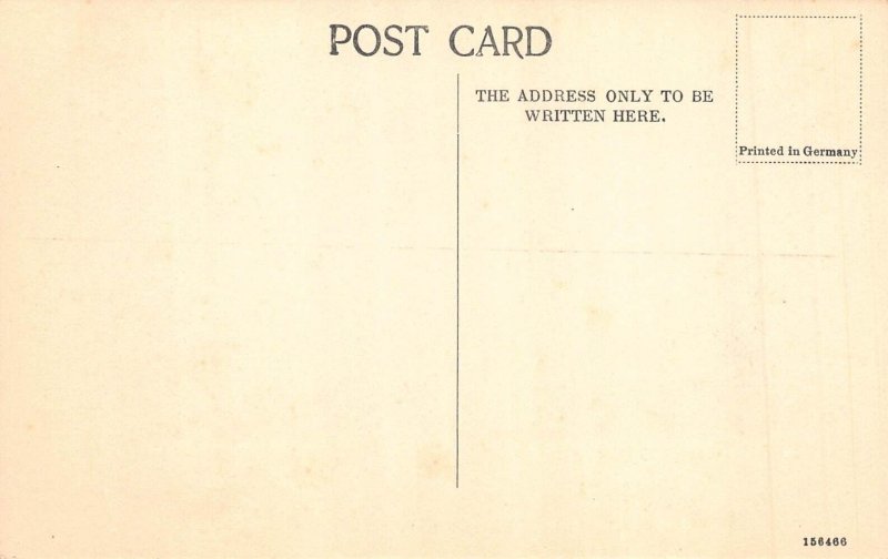 L379 India Udaipur Palace Gate vintage postcard