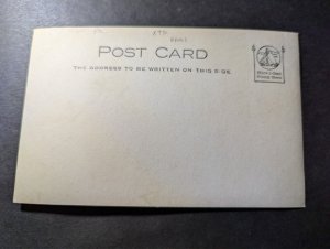 Mint USA PPC Postcard Birdsboro PA Hoffmans Drug Store