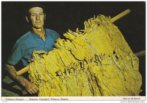 Tobacco Grower , Ontario , Canada , 50-70s