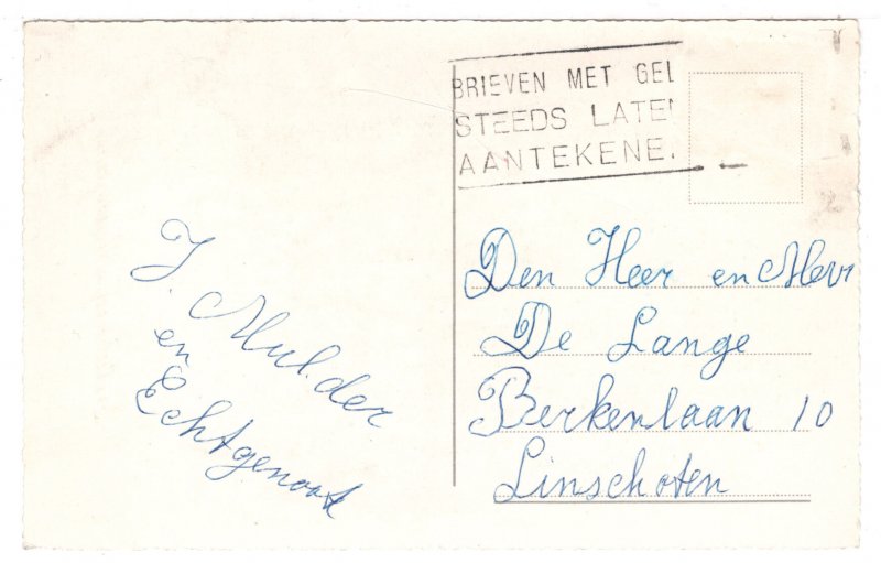 Gelukkig Nieuwjaar - Happy New Year