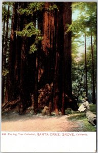 The Big Tree Cathedral Santa Cruz Grove California CA Giant Trunks Postcard