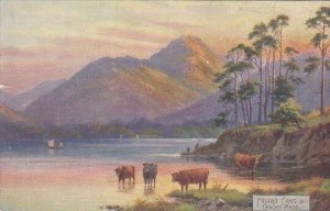 Friar's Crag & Cawsey Pikes Derwentwater Series Tucks