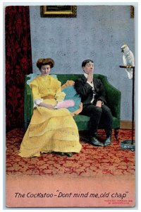 1909 Man Woman And Parrot The Cockatoo Bamforth Alexandria Indiana IN Postcard