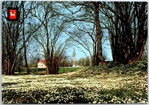 VINTAGE CONTINENTAL SIZE POSTCARD MEADOWY VILLAGE SCENE AT GOTLAND SWEDEN