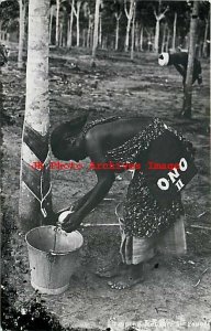 Singapore, RPPC, Worker Tapping a Rubber Tree, Gevaey Photo