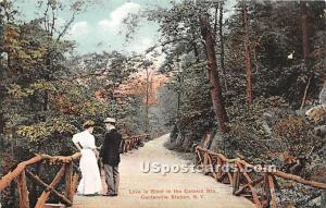 Love is Blind in the Catskill Mountains Centerville Station (Woodridge) NY 1911