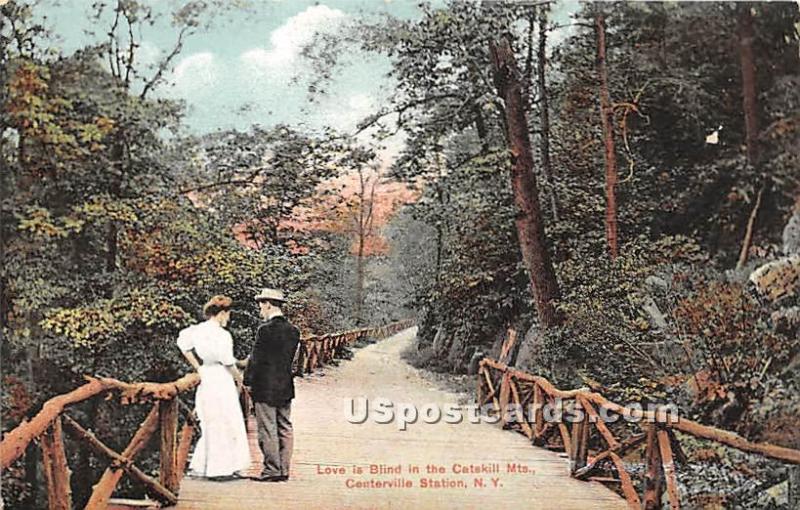 Love is Blind in the Catskill Mountains Centerville Station (Woodridge) NY 1911