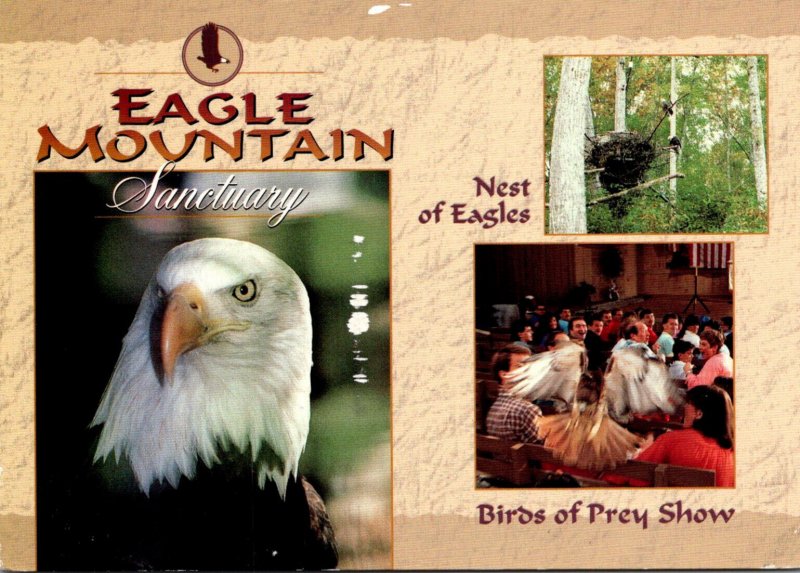 Tennessee Pigeon Forge Dollywood Eagle Mountain Sanctuary Birds Of Prey 1998