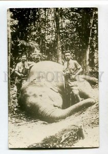 3151555 INDONESIA Borneo HUNTER & ELEPHANT Vintage photo PC