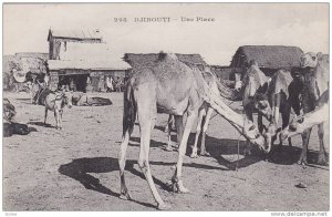 Djibouti , 00-10s ; Une lace