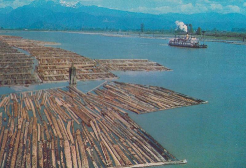 Paddle Steamer & Log Booms Pit Meadows BC Canada Canadian Postcard