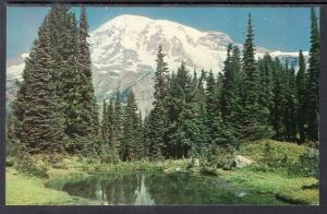 Mt Rainier and Fairy Pool,WA