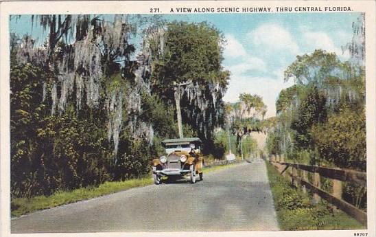 Florida Thru Central Florida A View Along Scenic Highway