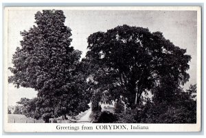 Greetings From Corydon Indiana IN, Dirt Road Big Trees Scene Vintage Postcard