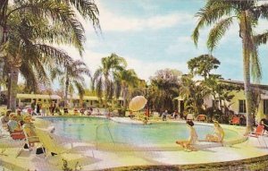 Florida Saint Petersburg Our Beautiful Private Pool At Cocoanut Grove Motel