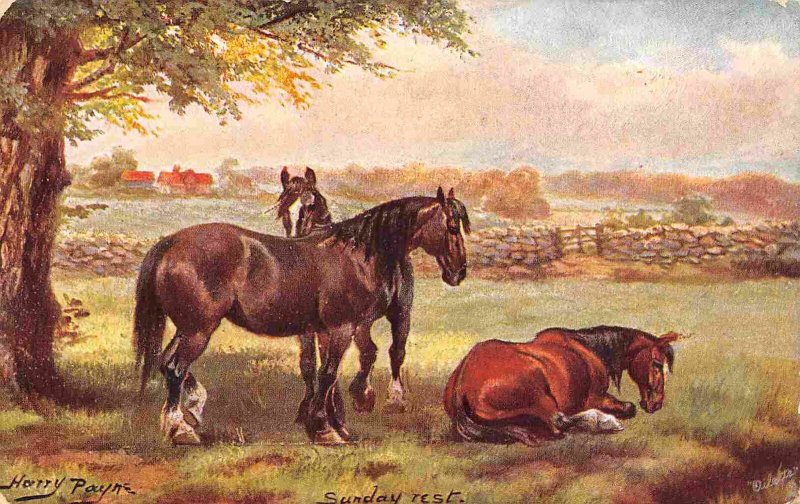 Horses at Sunday Rest Dorset Farms England UK 1910c Tuck postcard