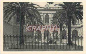 Old Postcard Toulon Library and Museum of the City Municipal